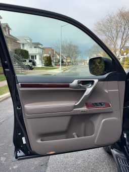 2010 Lexus GX 460 full