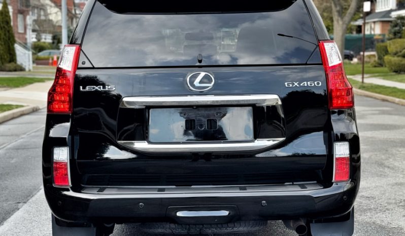 2010 Lexus GX 460 full