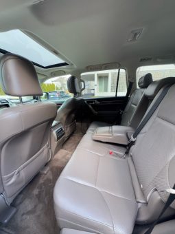 2010 Lexus GX 460 full