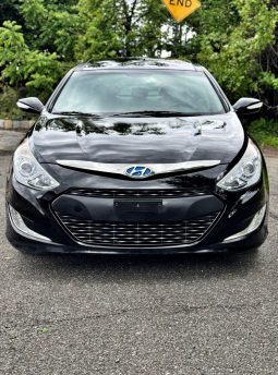 2014 Hyundai Sonata full